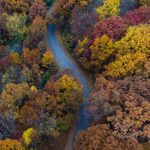 fall-color