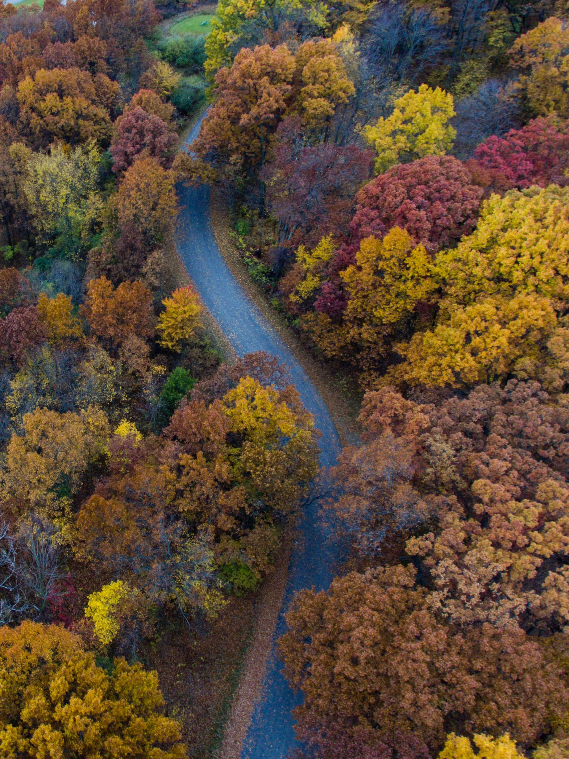 How to Create a Colorful and Eye-Opening Fall/Autumn Garden - Soil ...