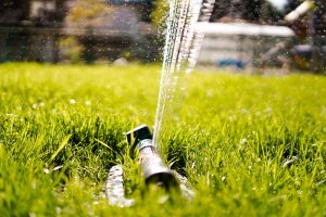 lawn-sprinkler