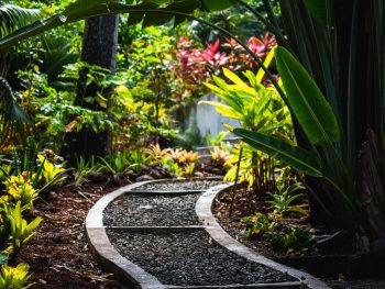Understand and Adjust Microclimates in Your Garden